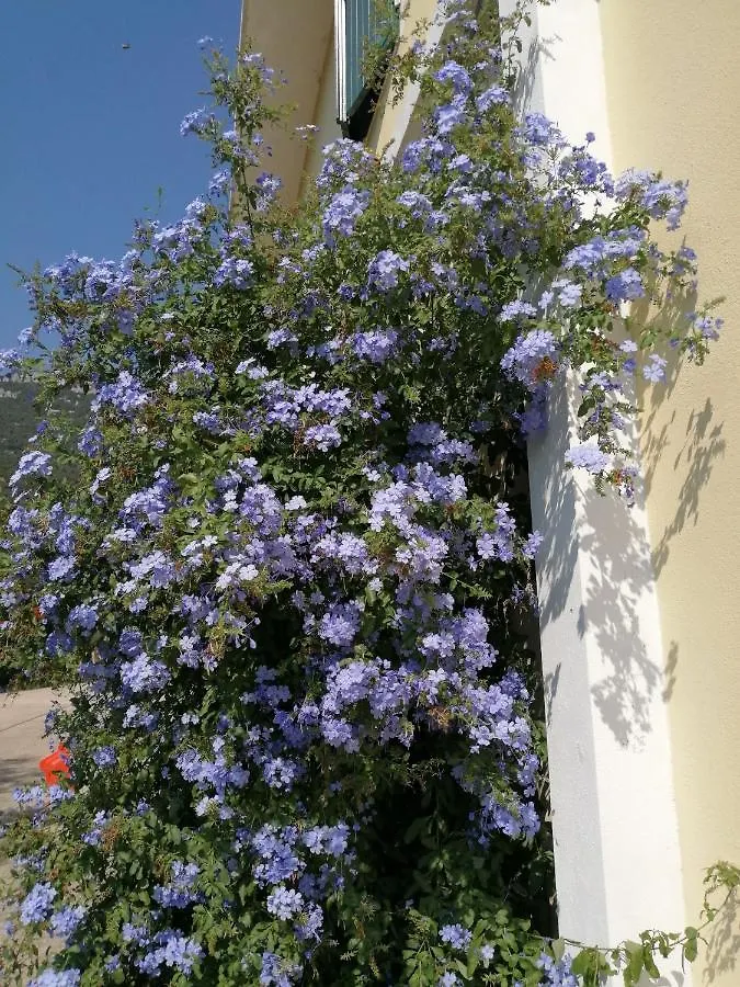Locanda D'Ogliastra, Triei 2*,
