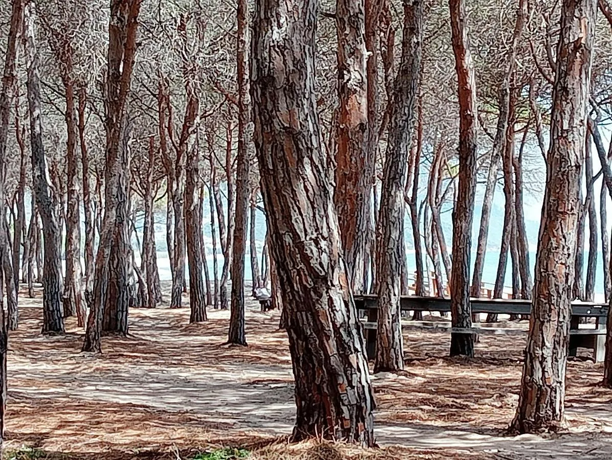 ** Maison d'hôtes Locanda D'Ogliastra, Triei Italie
