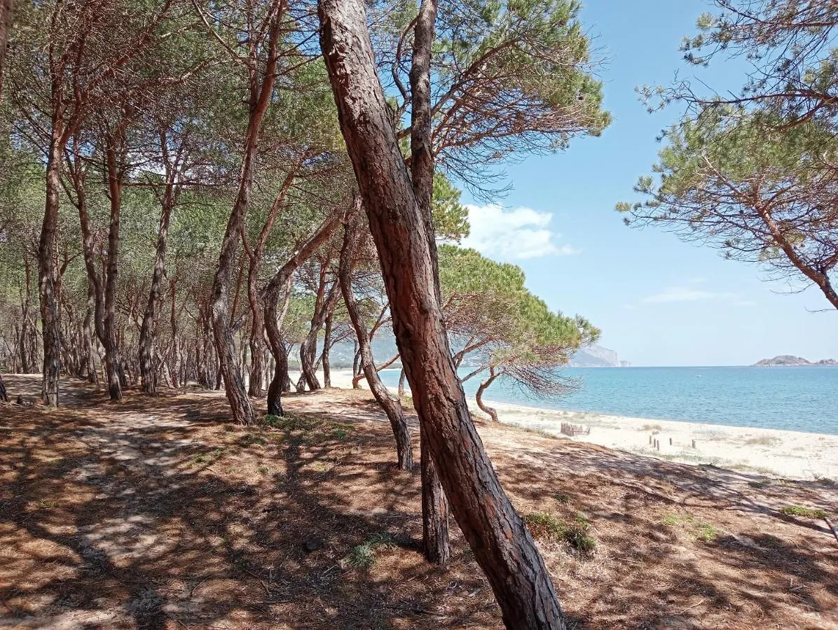 Locanda D'Ogliastra, Triei