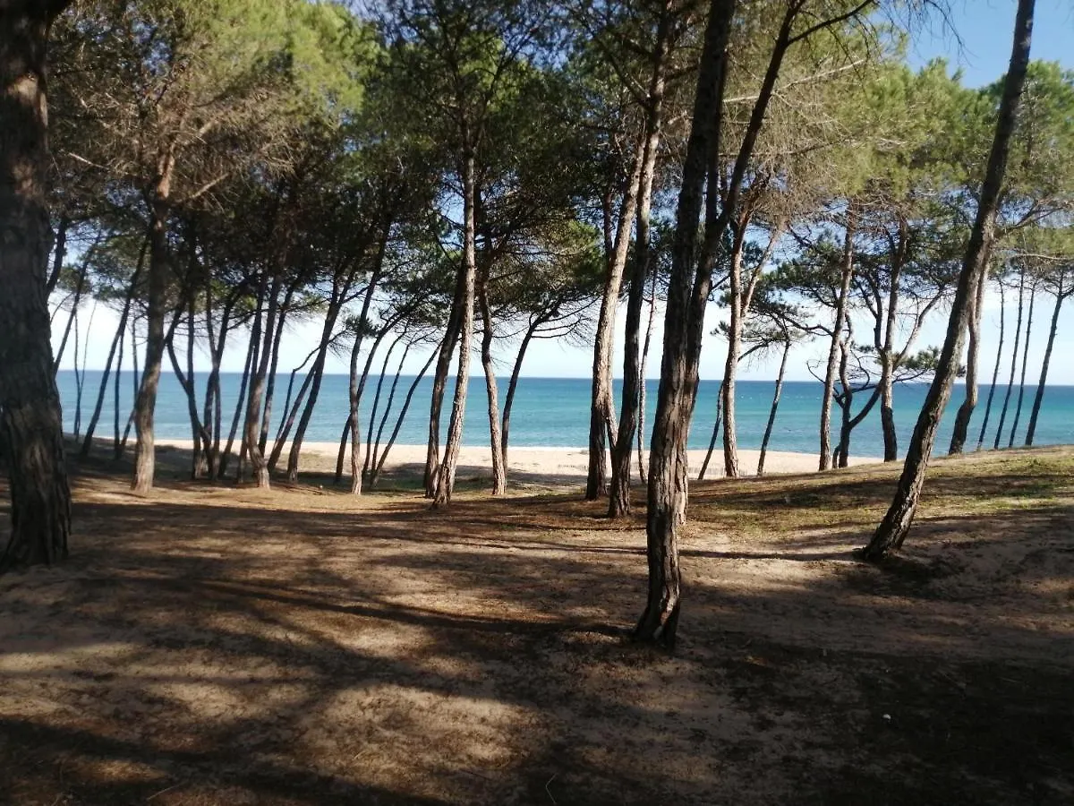 ** بيت ضيافة Locanda D'Ogliastra, Triei إيطاليا